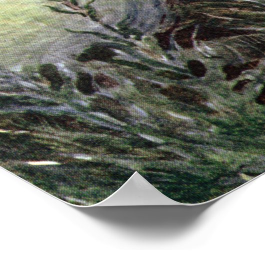 Cinderella en Fairy Godmoeder - Millicent Sowerby Poster (Hoek)