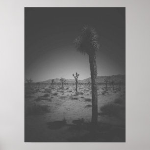 Cinematic Black and White Field of Joshua Trees Poster