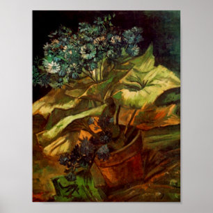 Cineraria in een druppel, Van Gogh Fine Art Poster