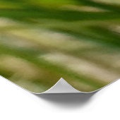 Cinnabar Moth Poster (Hoek)