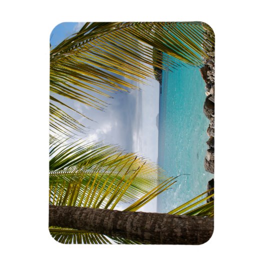 Cinnamon Bay, St. John, USVI Magnet (Vertical)