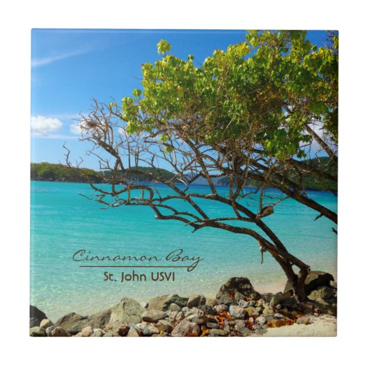 Cinnamon Bay St. John USVI Tropical Tile Art Tegeltje (Voorkant)