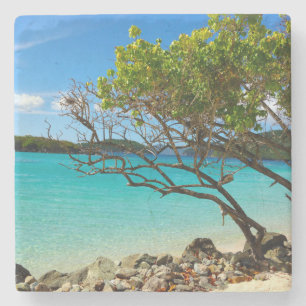 Cinnamon Bay St. John USVI Tropisch Onderzetter