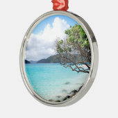 Cinnamon Bay (St. Thomas, USVI) Metalen Ornament (Links)
