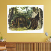 Cinnamon Beer uit Audubon's Quadrupeds Canvas Afdruk (Insitu (Woonkamer))