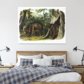Cinnamon Beer uit Audubon's Quadrupeds Canvas Afdruk (Insitu (Slaapkamer))
