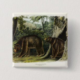 Cinnamon Beer uit Audubon's Quadrupeds Vierkante Button 5,1 Cm