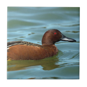 Cinnamon Blauwgroen Tegeltje