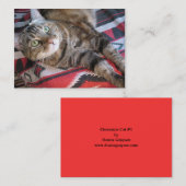 cinnamon cat aceo atc visitekaartje (Voorkant / Achterkant)