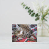 cinnamon cat aceo atc visitekaartje (Staand voorkant)