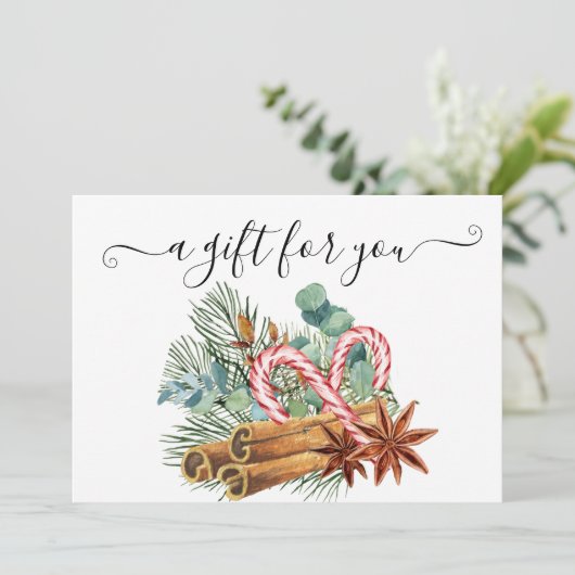 Cinnamon Cinnamon met cadeau-kerstmis (Staand voorkant)