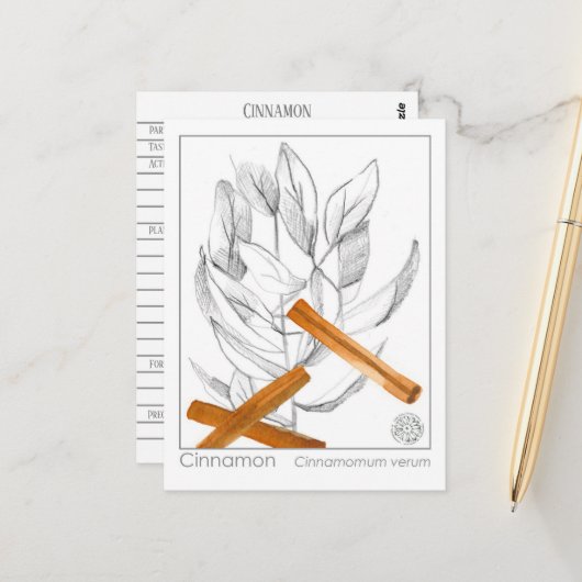 Cinnamon Spice Materia Medica Monograph Herbal Briefkaart (Voorkant / Achterkant in situ)