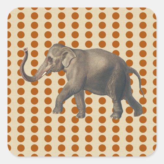 Cinnamon Spice Moods Stippen met olifant Vierkante Sticker (Voorkant)
