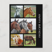 Cinq cheval photo collage d'anniversaire carte pos (Devant)
