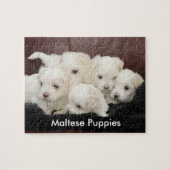 Cinq chiots maltais sur un puzzle (Horizontal)