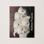 Cinq chiots maltais sur un puzzle (Vertical)