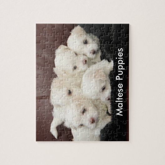 Cinq chiots maltais sur un puzzle (Vertical)