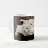 Cinq Chiots Maltais Sur Une Variété De Mugs (Devant gauche)