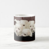 Cinq Chiots Maltais Sur Une Variété De Mugs (Centre)