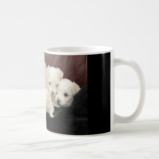 Cinq Chiots Maltais Sur Une Variété De Mugs (Droite)