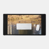 Cinq cygnes blancs dans des canards (Clavier et souris)