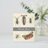 Cinq Insectes Vintages "Merci !" Carte postale (Debout devant)