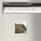 Cinque Terre magneet (Insitu (Vaatwasser))