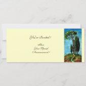 CIpressen EN MEDITERRANE DENNEN IN TUSCANJE Kaart (Achterkant)