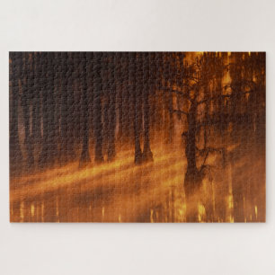 Cipressen George Smith State Park Legpuzzel