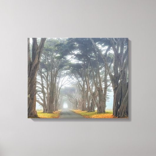 cipresstunnel canvas afdruk (Voorkant)