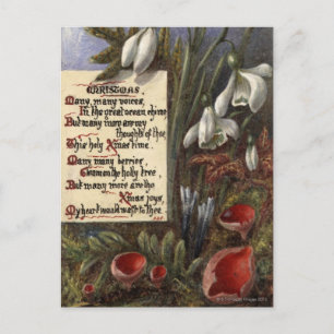 Circa 1890: Snowdruppels Briefkaart