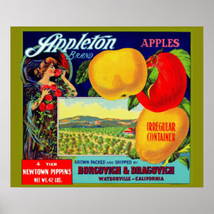 circa 1900 Appleton Apples Poster