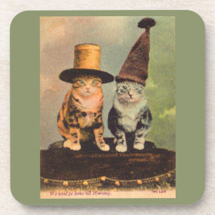 circa 1900 katten in petten RPPC Drankjes Onderzetter