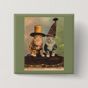 circa 1900 katten in petten RPPC Vierkante Button 5,1 Cm