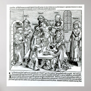 Circa van "Liber Chronicarum" Poster