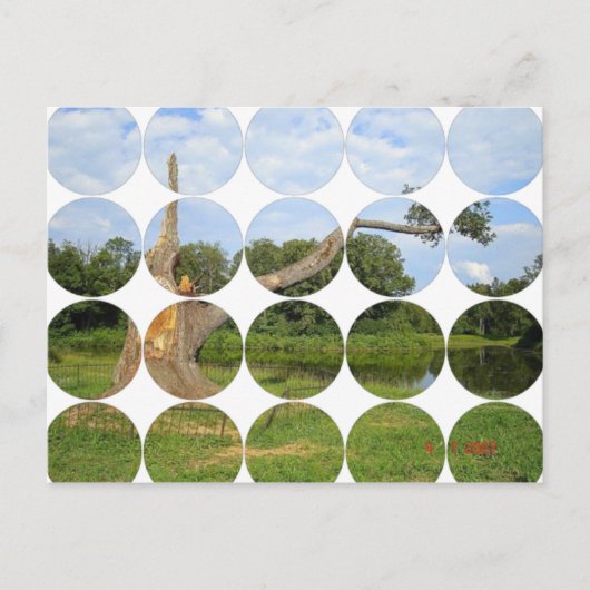 Circle Foto Briefkaart (Voorkant)