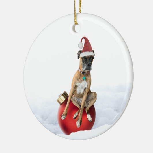 Circle ornament boxer (Links)