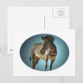 Circulair Zebra Briefkaart (Voorkant / Achterkant)