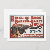 Circus 5 grote kuddes uitvoerende olifanten briefkaart (Voorkant / Achterkant)