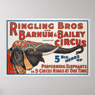 Circus 5 grote kuddes uitvoerende olifanten poster