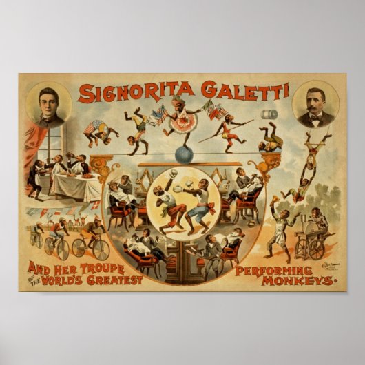  Circus Ad Poster (Voorkant)