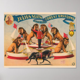  Circus Ad Poster