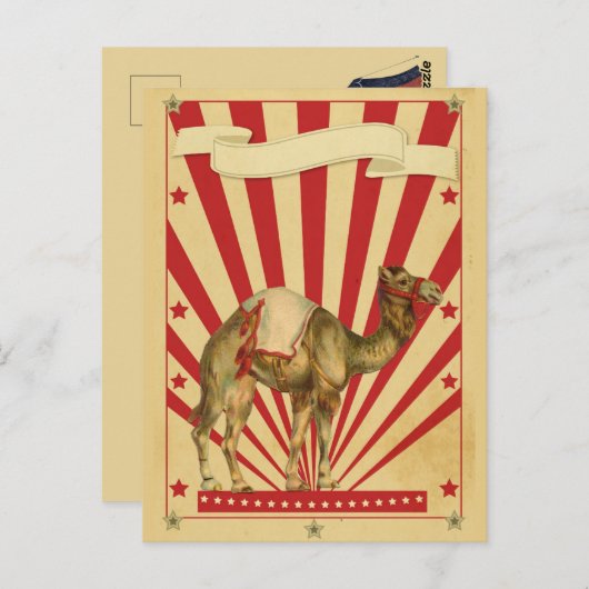 Circus Briefkaart (Voorkant / Achterkant)