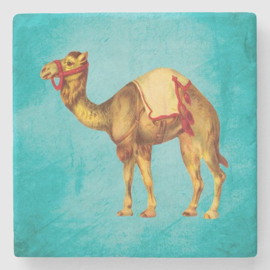  Circus Camel over Aqua Stenen Onderzetter (Voorkant)