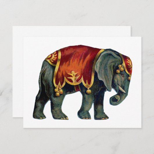 circus dat olifantencircus opvoert, notitiekaartje (Voorkant / Achterkant)