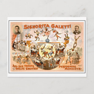  Circus, die apen presteert Briefkaart