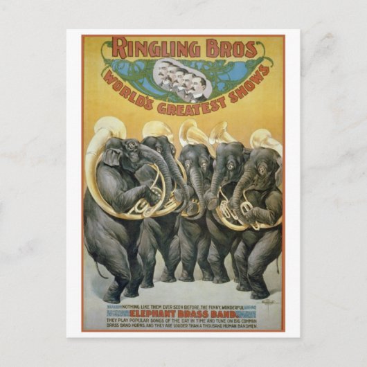 Circus Elephants Brass Band Briefkaart (Voorkant)