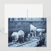  Circus Elephants Ringling Railroad Car Briefkaart (Voorkant / Achterkant)