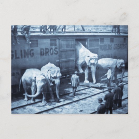  Circus Elephants Ringling Railroad Car Briefkaart (Voorkant)