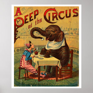Circus Illustratie Kunst Oud Antiek Poster